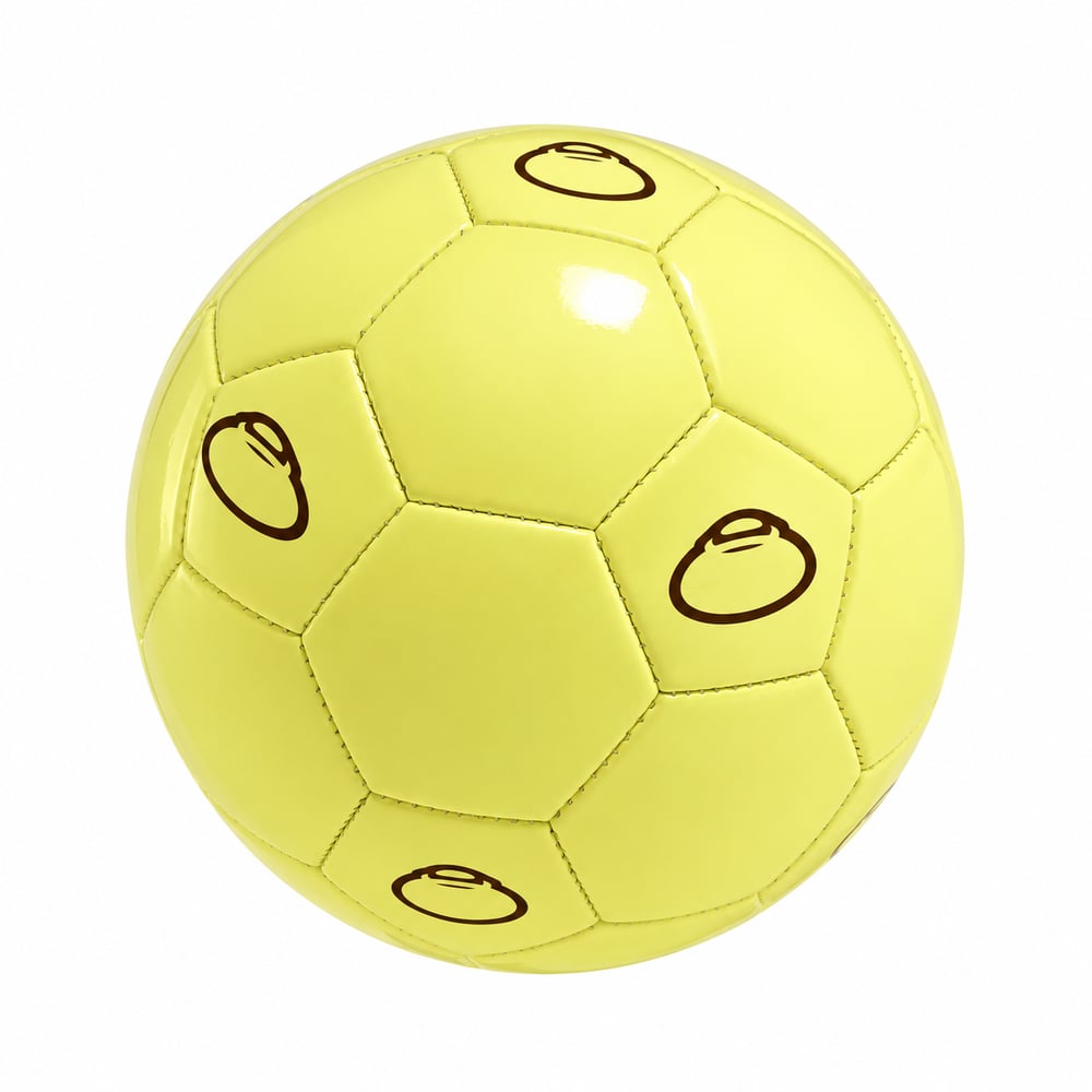 Sun Bum SOCCER BALL