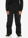 QUICKSILVER ESTATE PANTS