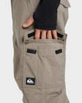 QUICKSILVER PORTER PANTS