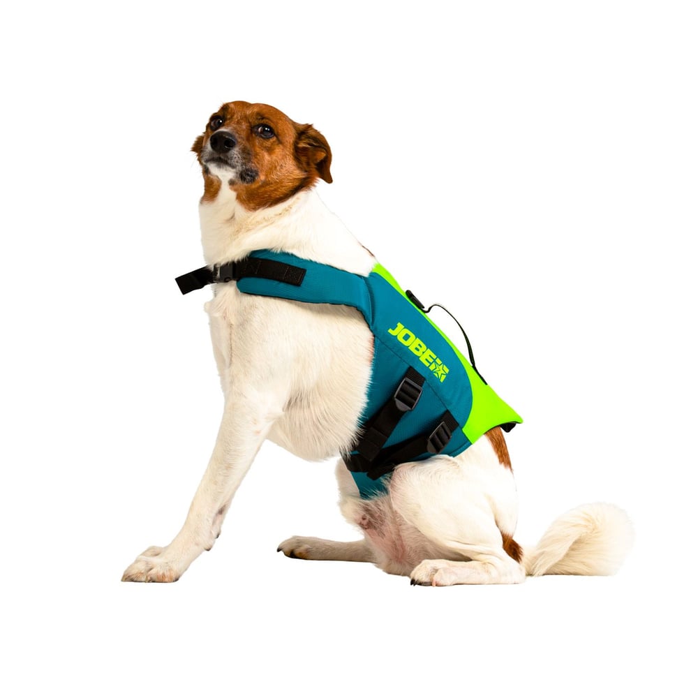 JOBE PET LIFE JACKET