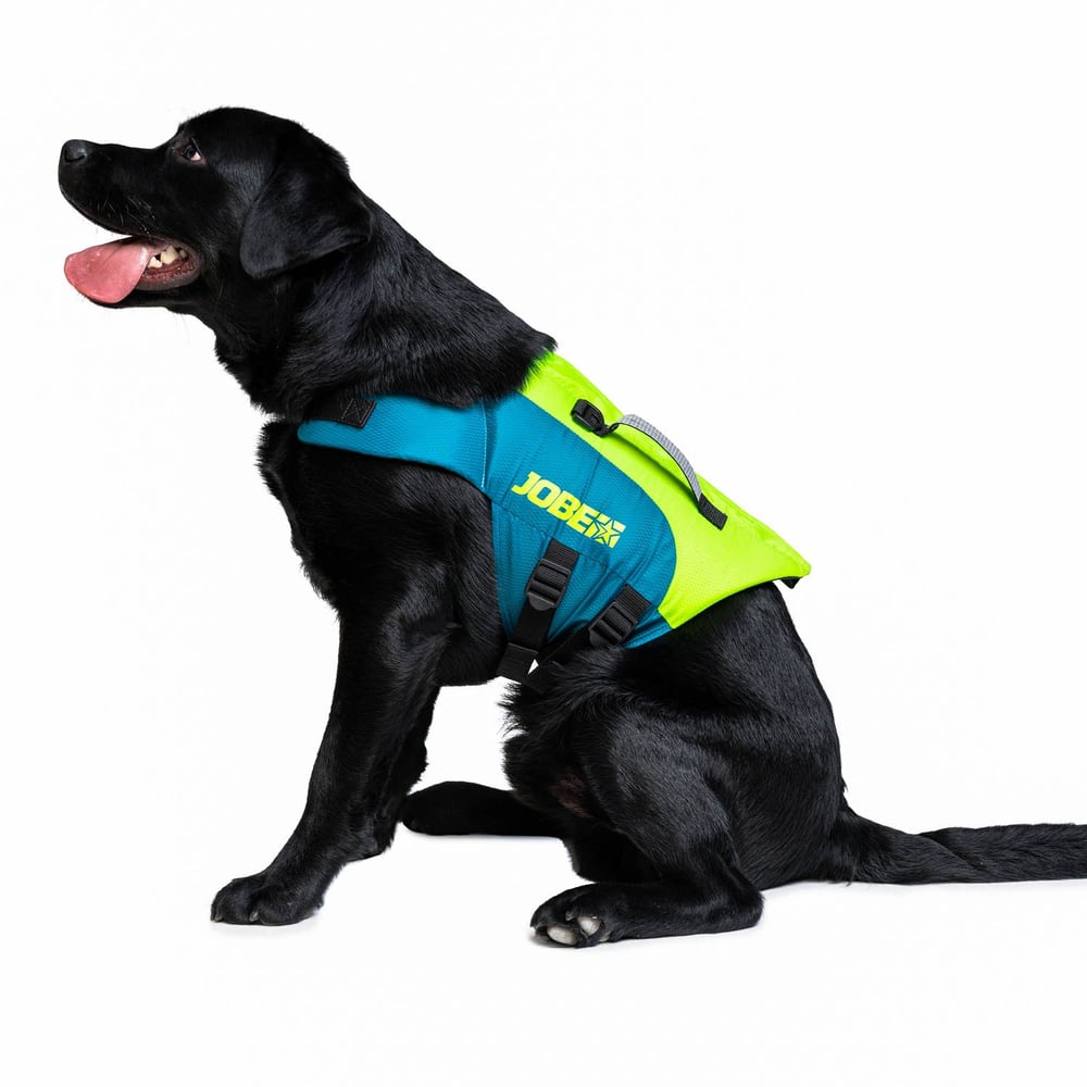 JOBE PET LIFE JACKET